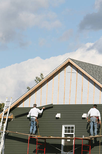 Best Stone Veneer Siding  in Kitsap Lake, WA